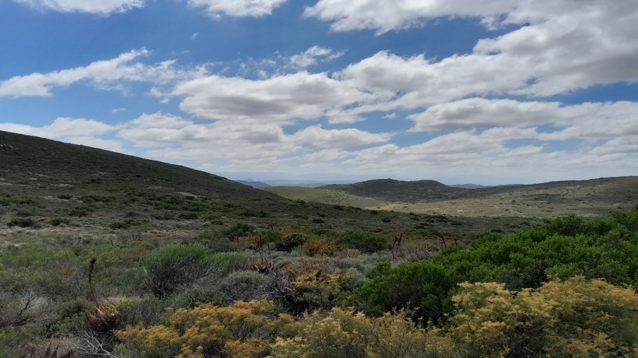 0 Bedroom Property for Sale in Robertson Rural Western Cape